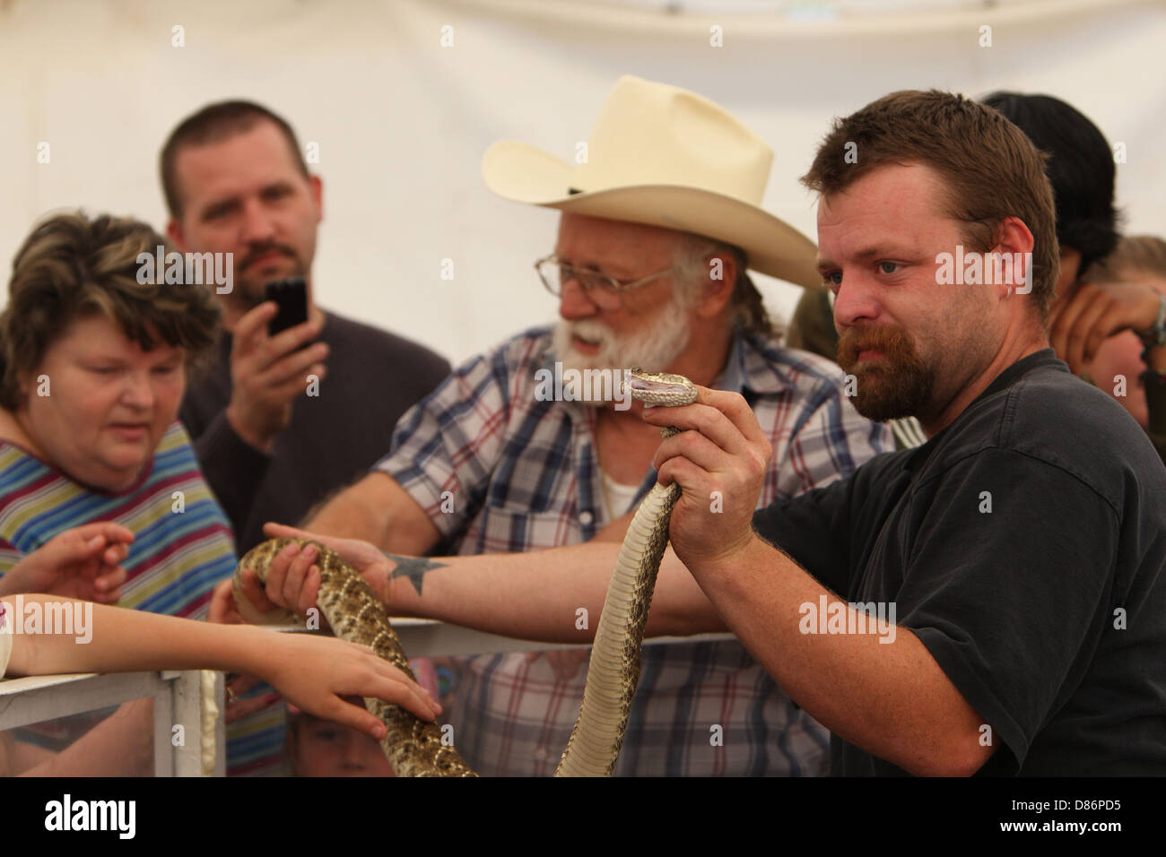 Texas Rattlesnake Rally Snakes of texas hi-res stock photography and images - Alamy