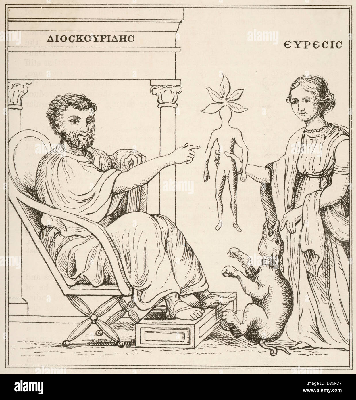 Dioscorides receives a mandrake root from Euresis. Stock Photo