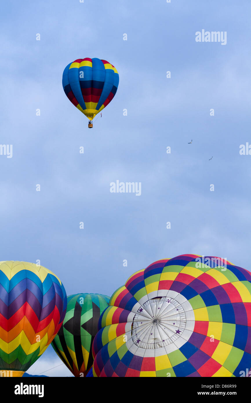 Annual hot air balloon festival in Erie, Colorado Stock Photo Alamy
