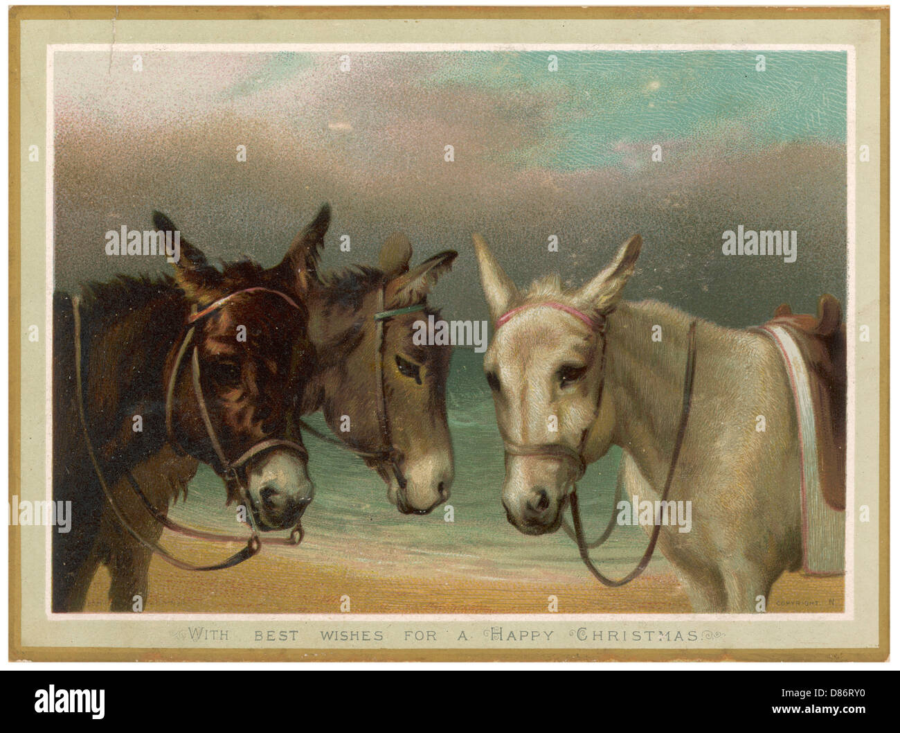 Three donkeys on the beach hi-res stock photography and images - Alamy