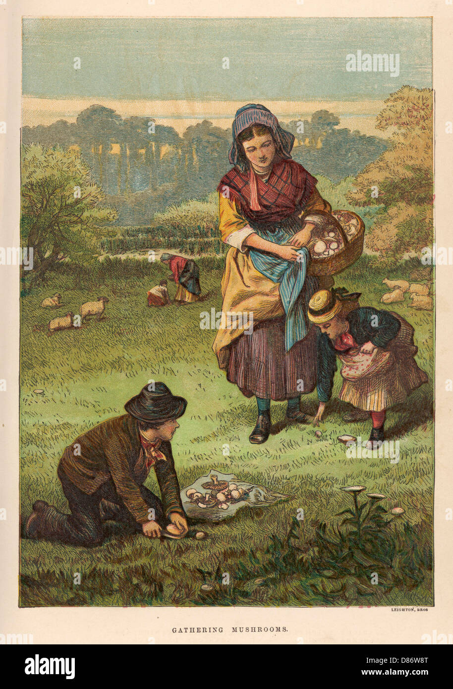 Gathering Mushrooms 1873 Stock Photo