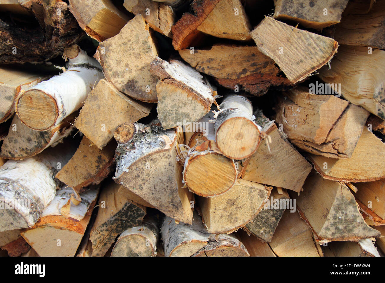 Dry Birch Firewood Stacked In The Woodpile Stock Photo 56701152