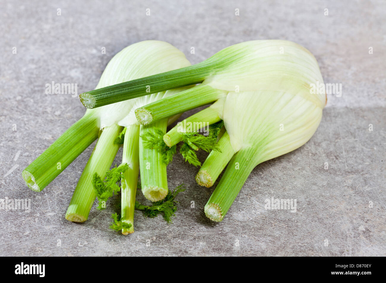 Fennel in kitchen, close up Stock Photo Alamy