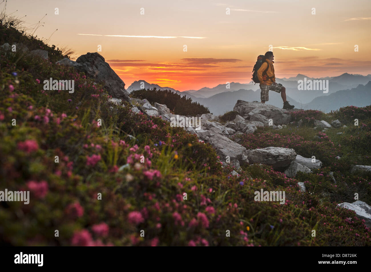 Austria, Salzburg Country, Man hiking through Niedere Tauern mountains at sunrise Stock Photo
