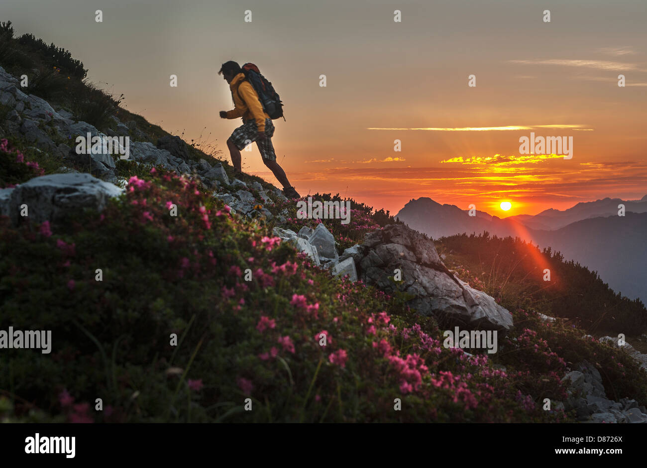 Austria, Salzburg Country, Man hiking through Niedere Tauern mountains at sunrise Stock Photo