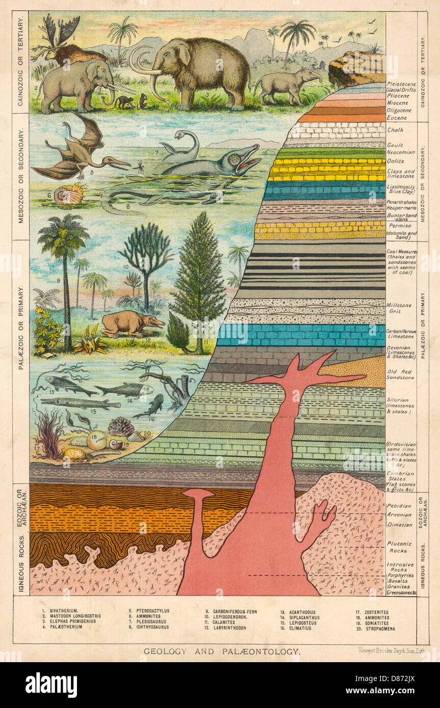 Geological Strata 19c Stock Photo - Alamy