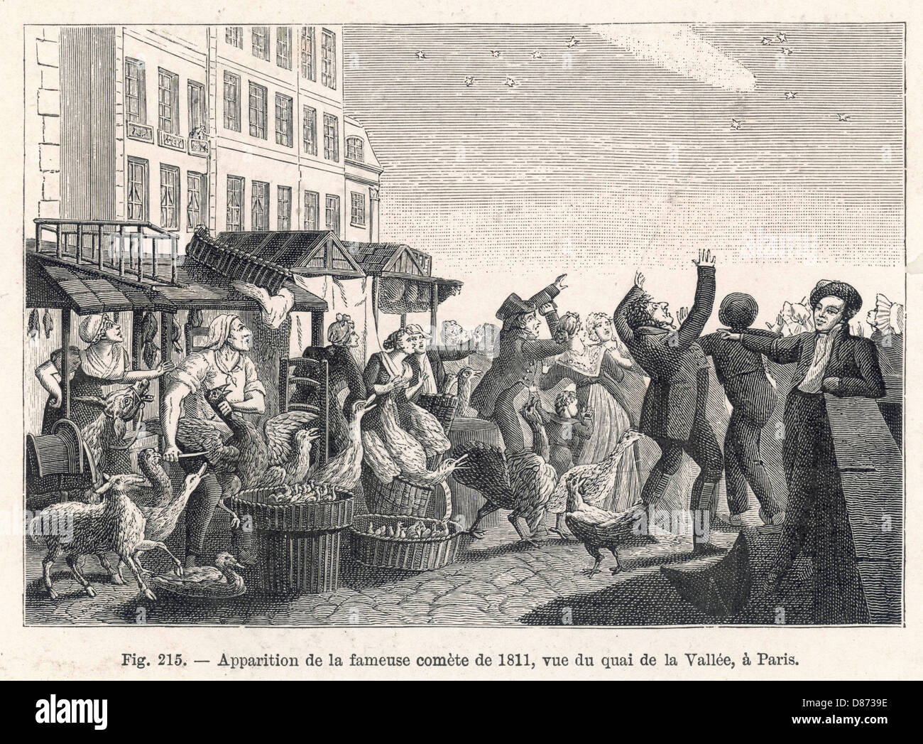 COMET OF 1811 OVER PARIS Stock Photo