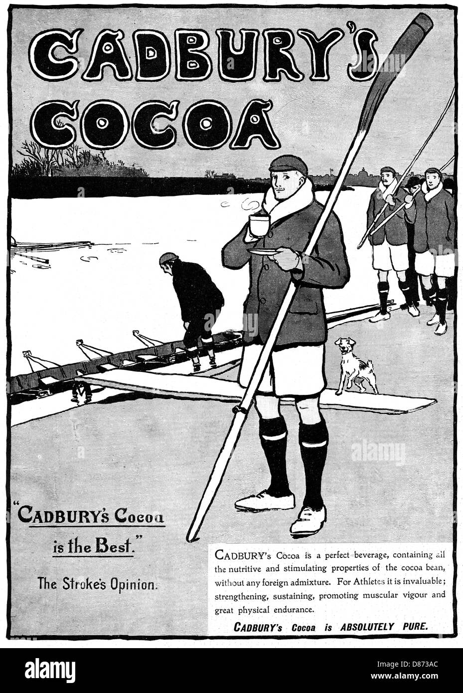 COCOA ADVERT/ROWING/B/W Stock Photo