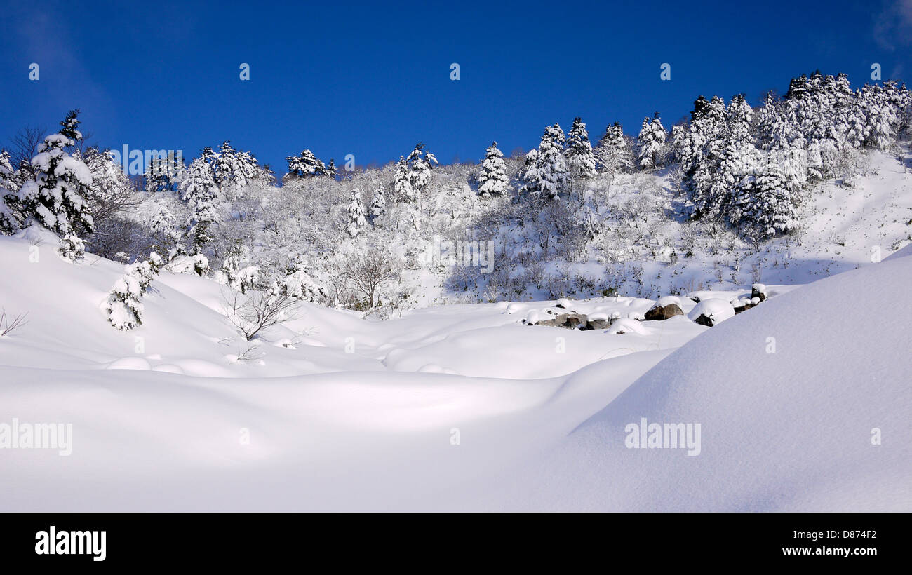 Snow covered mountain at Tamagawa Onsen in Winter Stock Photo