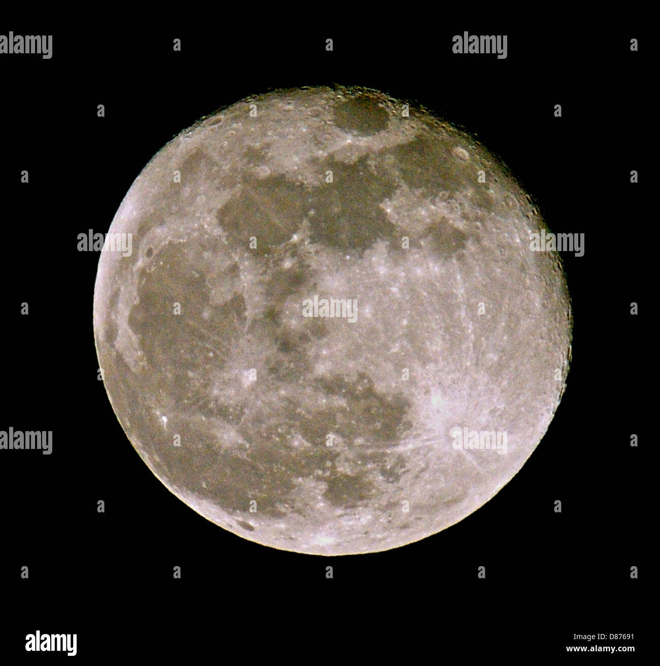 The moon, earth's satellite. This is a full moon photographed in the middle of spring in the southern part of Great Britain just after the full moon stage to show detail on the rim. Stock Photo