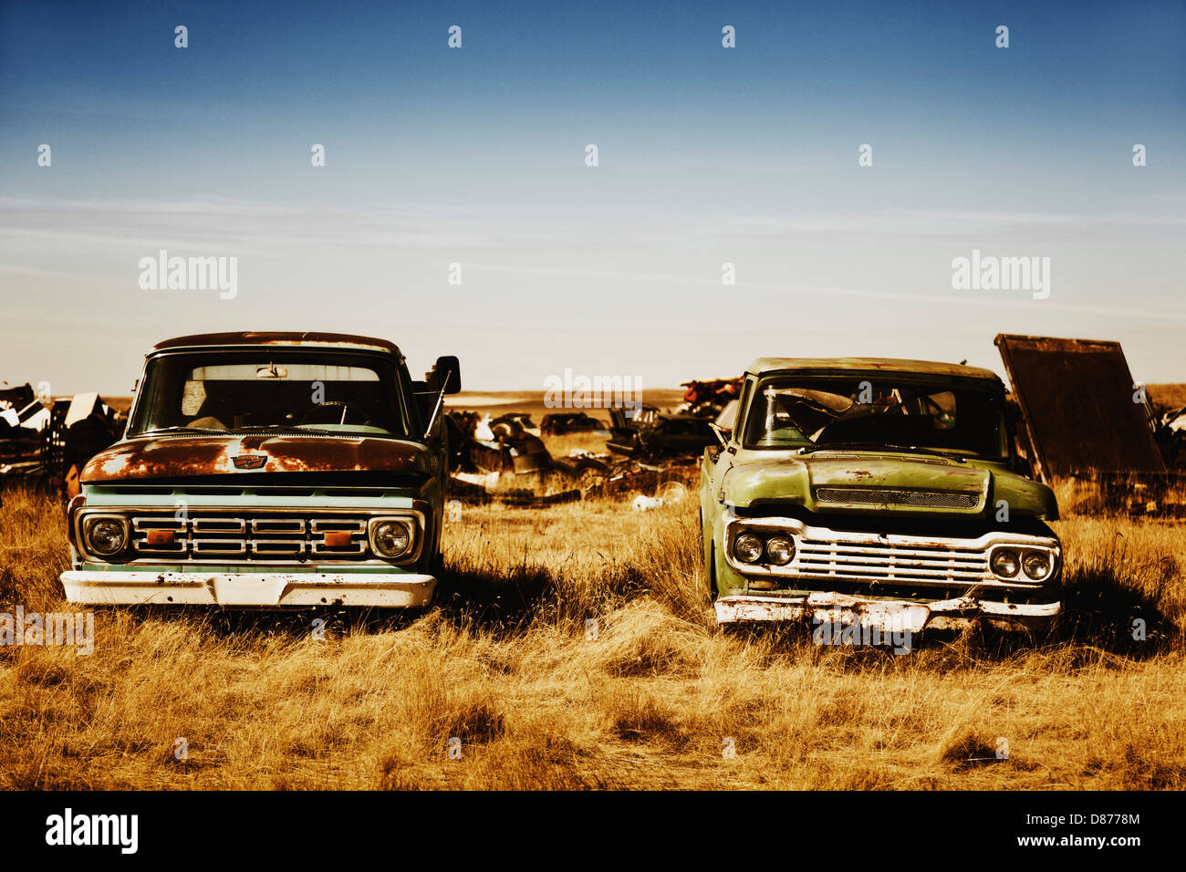 Canada, Junk yard with old US cars Stock Photo - Alamy