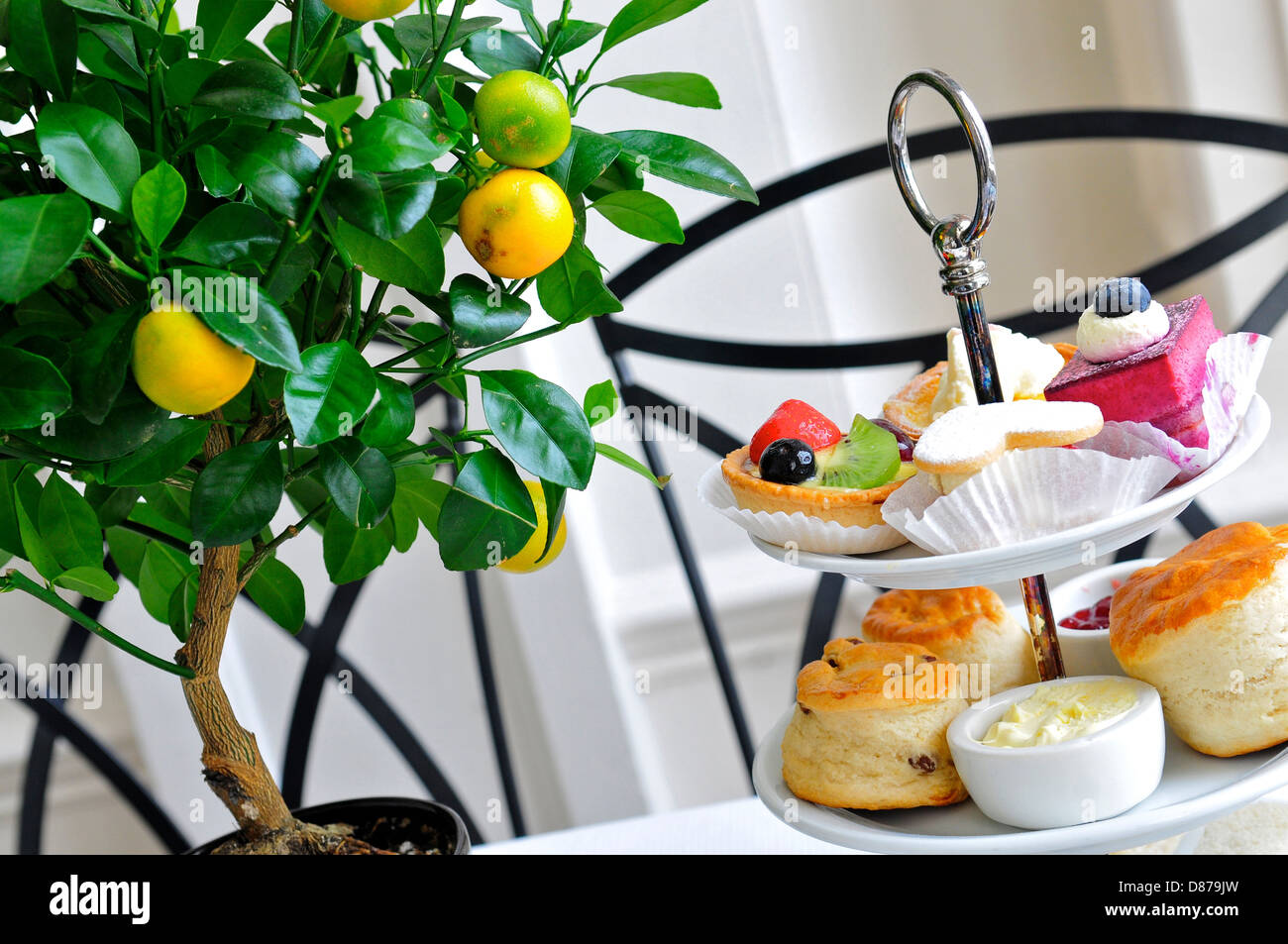 Afternoon Tea at The Orangery, Kensington Palace, Kensington Gardens, London, England, UK Stock Photo
