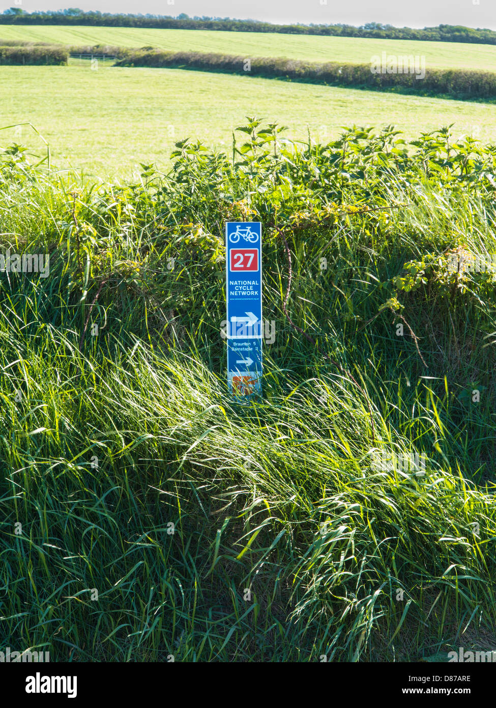 cycle network near me