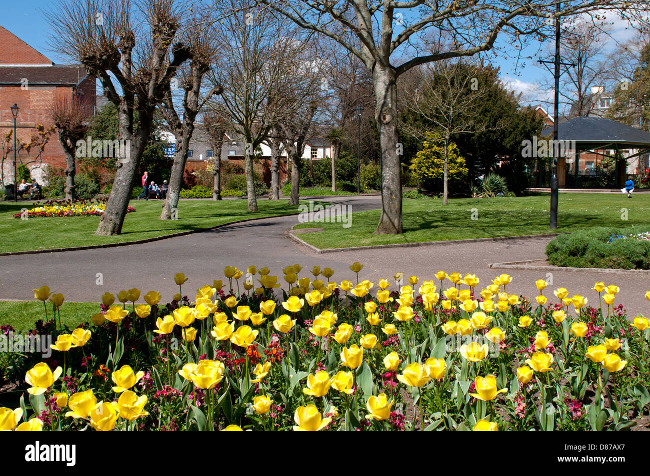 Manor Gardens in spring, Exmouth, Devon, England, UK Stock Photo Alamy