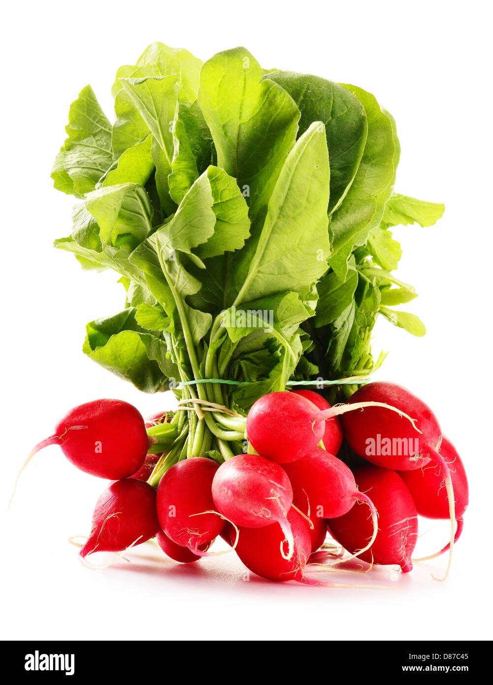 Bunch of radish isolated on white background Stock Photo