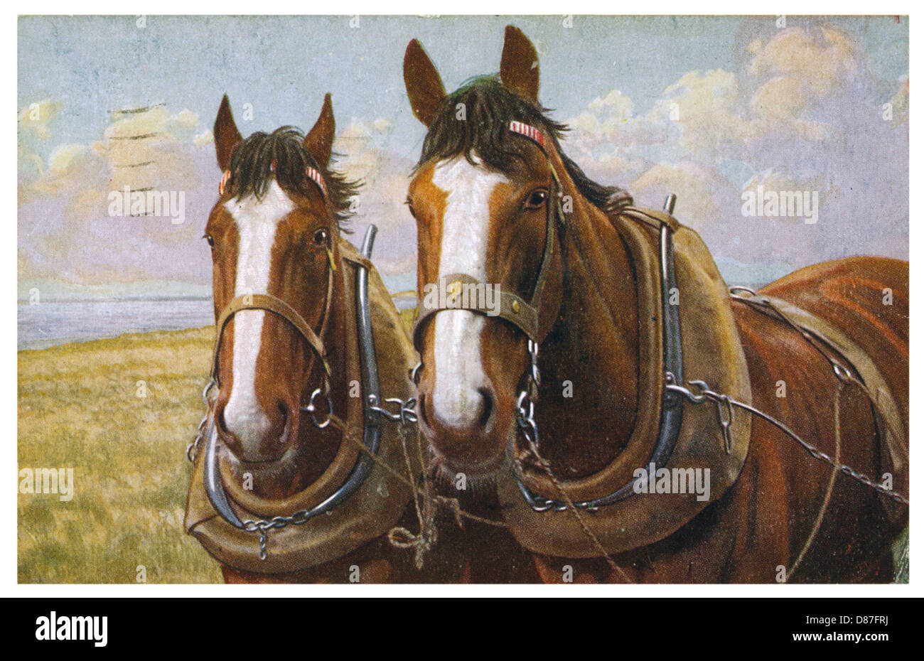 Тендряков в. Презентация тендряков пара гнедых. Антон коробов пара гнедых. Пара гнедых содержание. Ф тендряков пара гнедых.