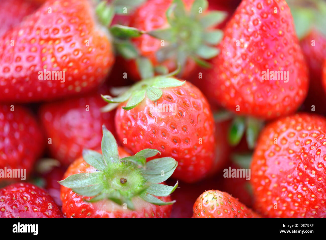 Close-up of Strawberries Stock Photo - Alamy