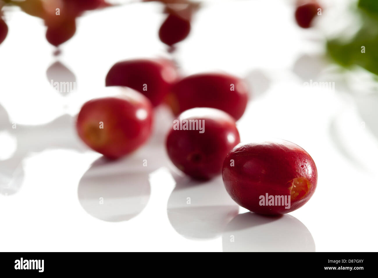 Fresh coffee beans with leaves on white background Stock Photo - Alamy