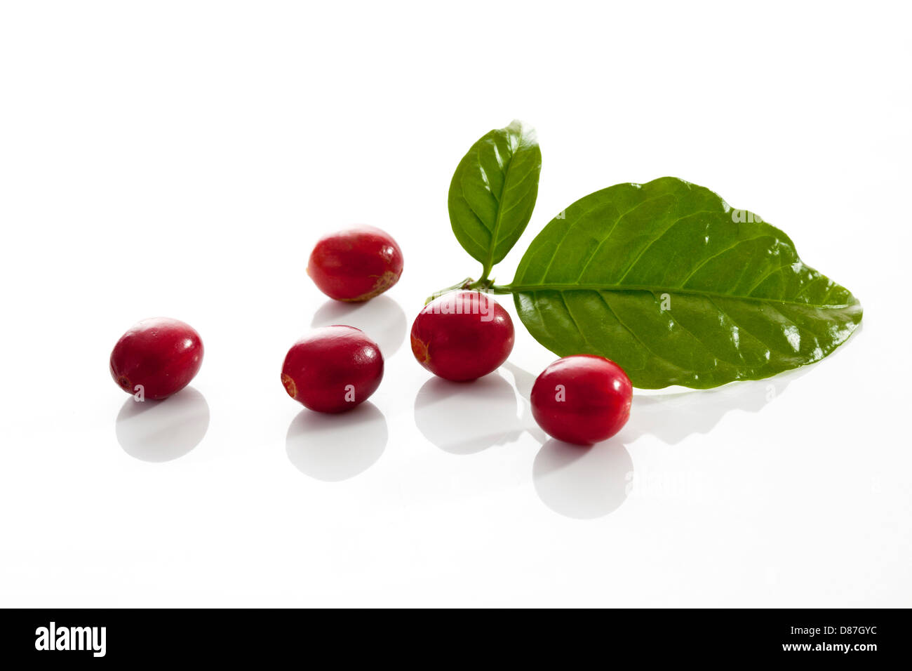 Fresh coffee beans with leaves on white background Stock Photo - Alamy