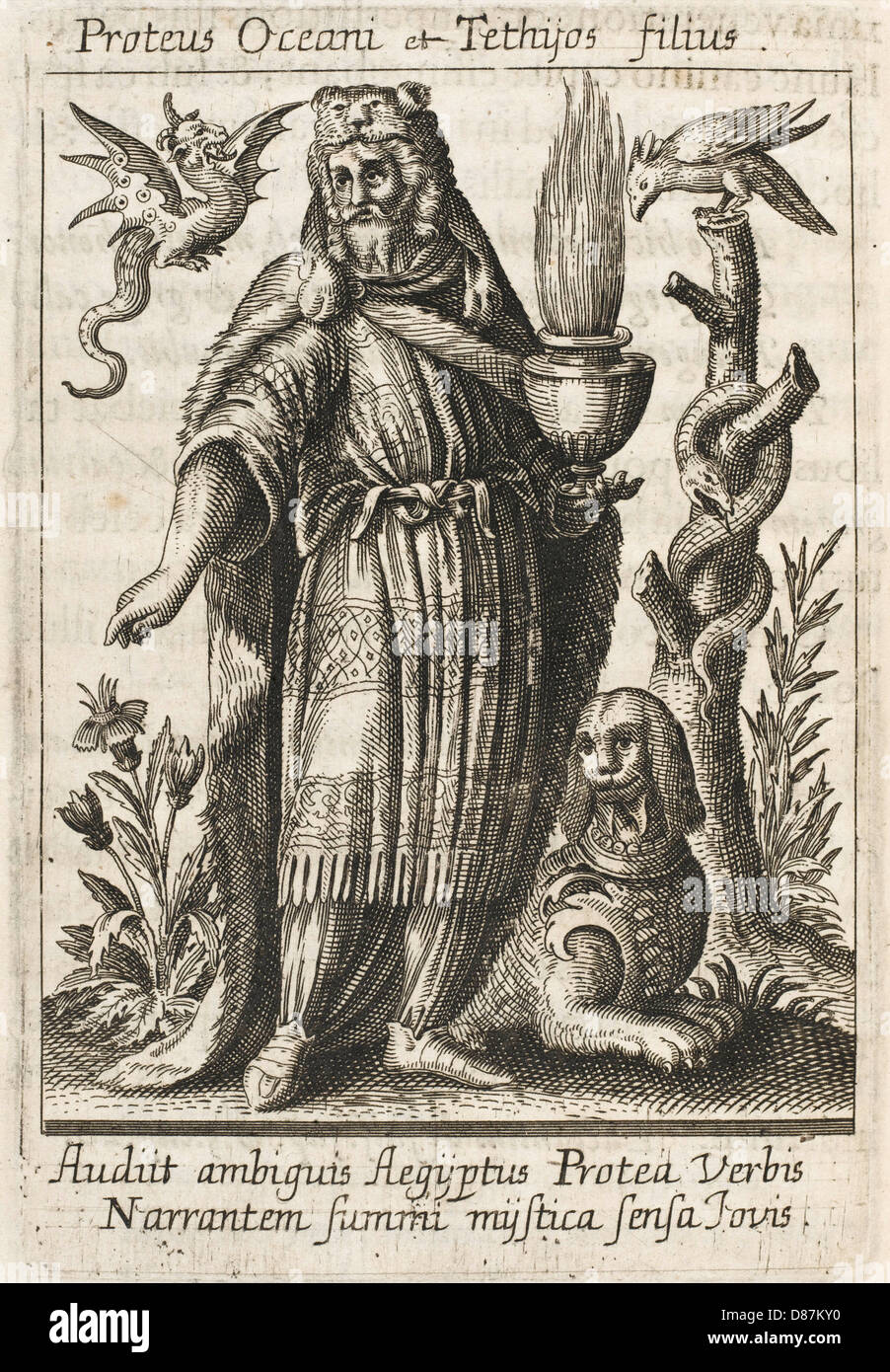 Proteus Stock Photo 56717668 Alamy