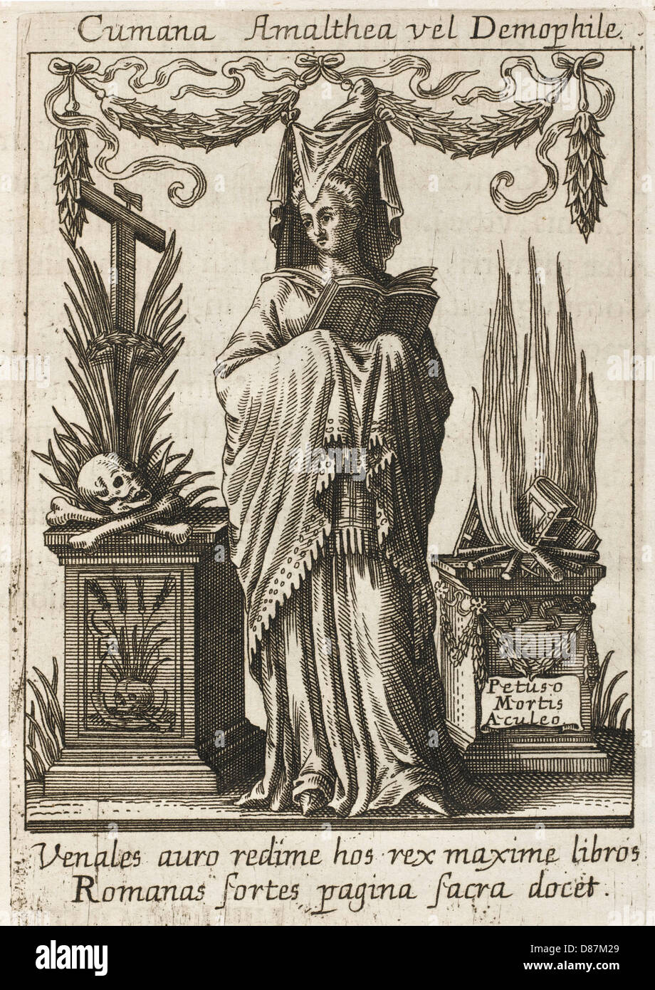 CUMAN SIBYL Stock Photo