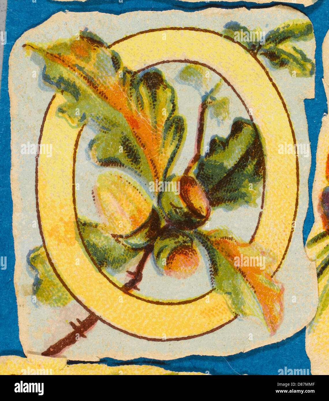 Decorative Flower Alphabet - O Stock Photo