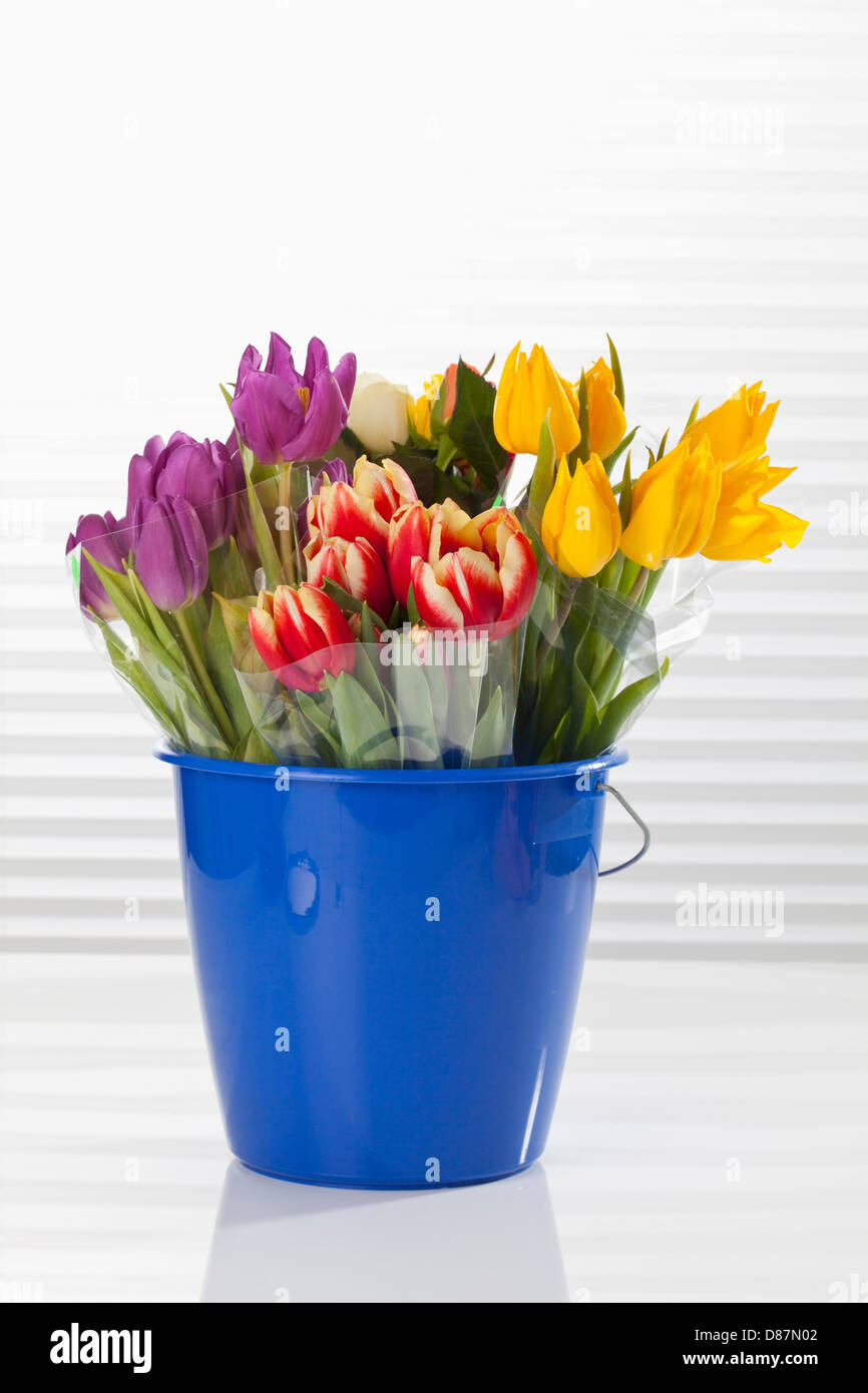 Variety of flowers in bucket on white background, close up Stock Photo