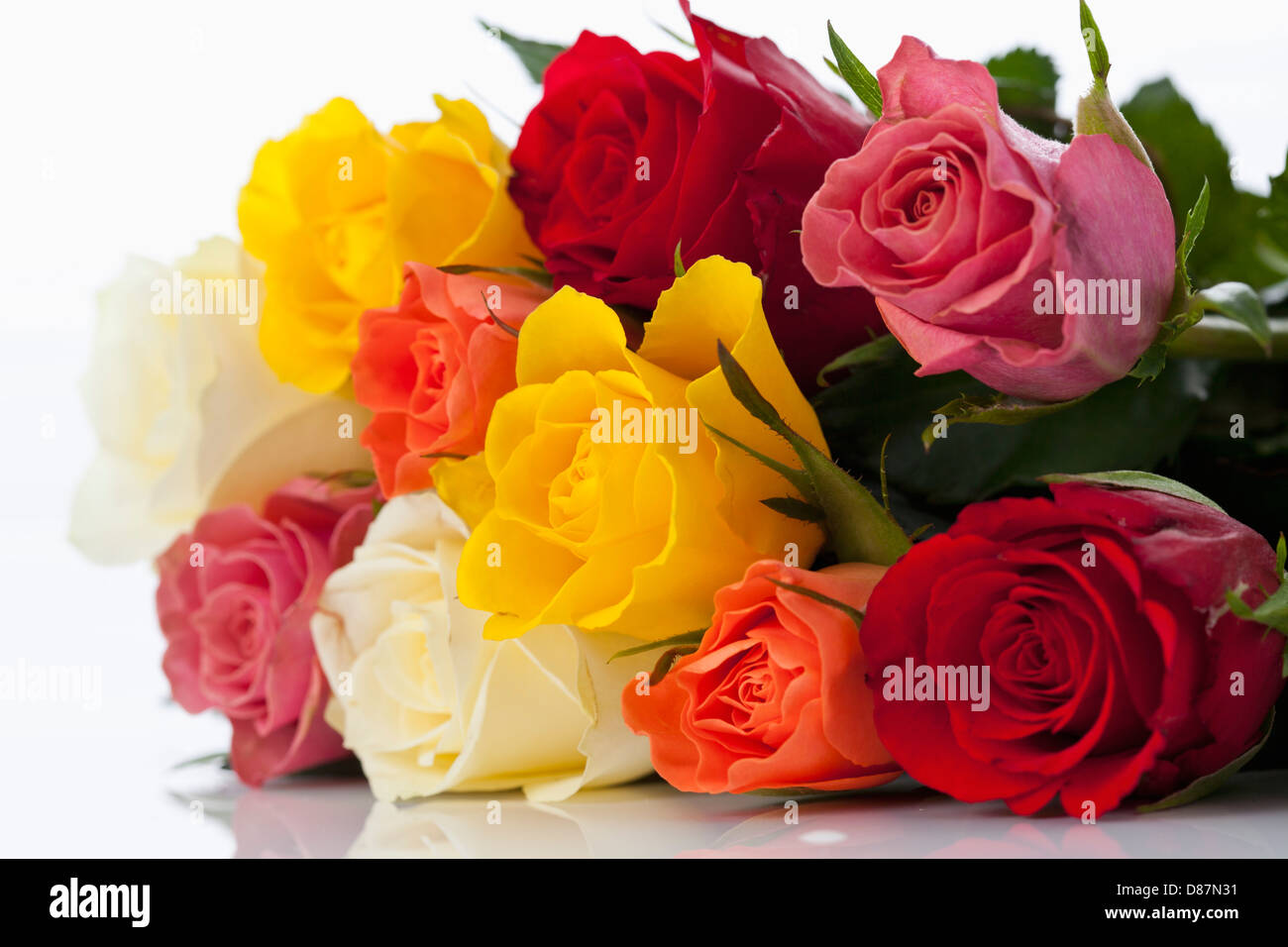 Variety of roses on white background, close up Stock Photo - Alamy