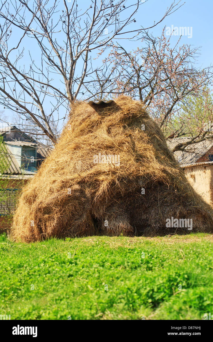 Dry haystack Stock Photo