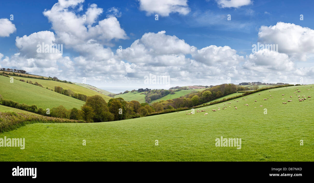 Devon countryside view with sea in the background, England, UK Stock Photo