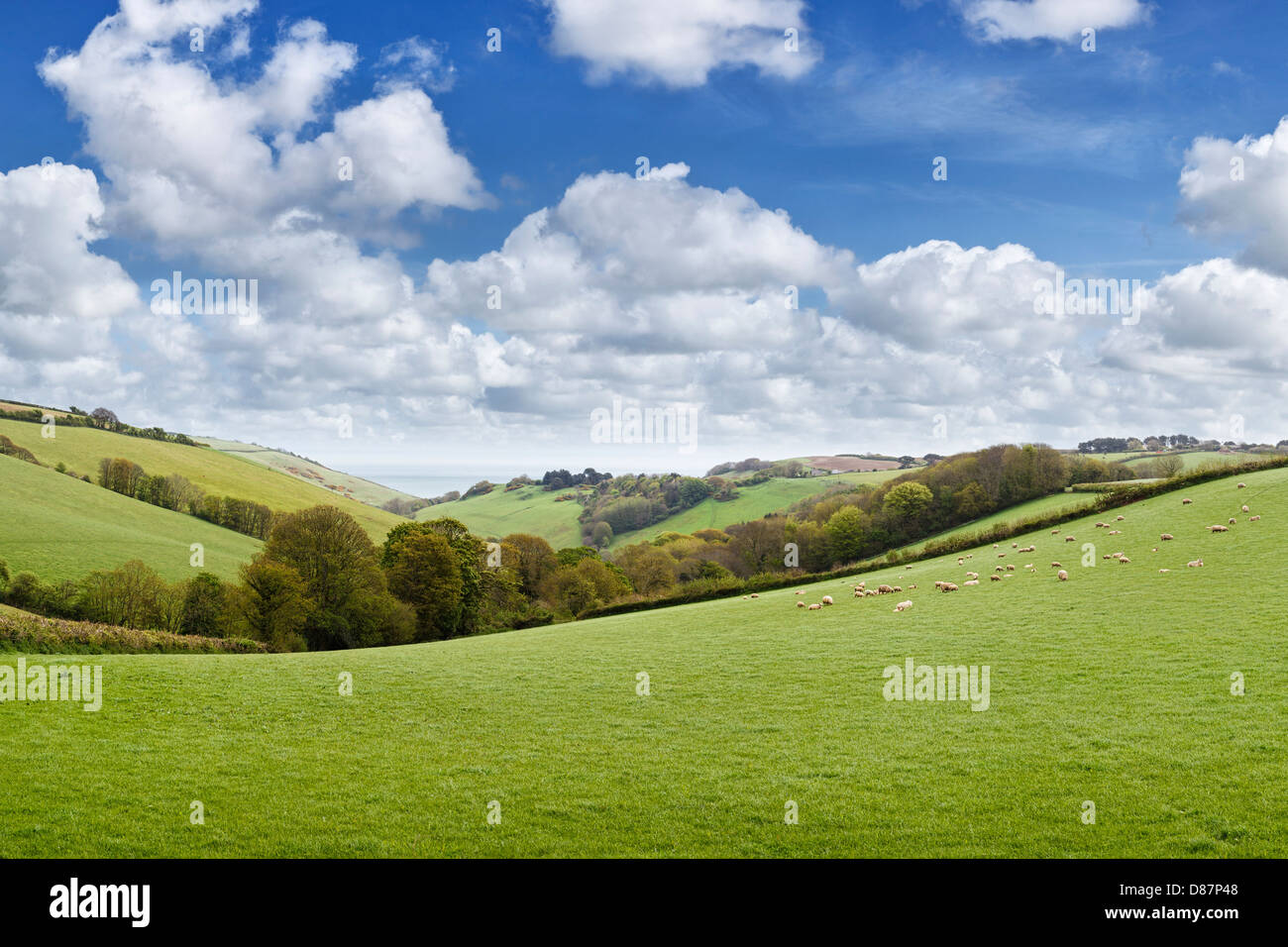 Devon countryside view with sea in the background, England, UK Stock Photo