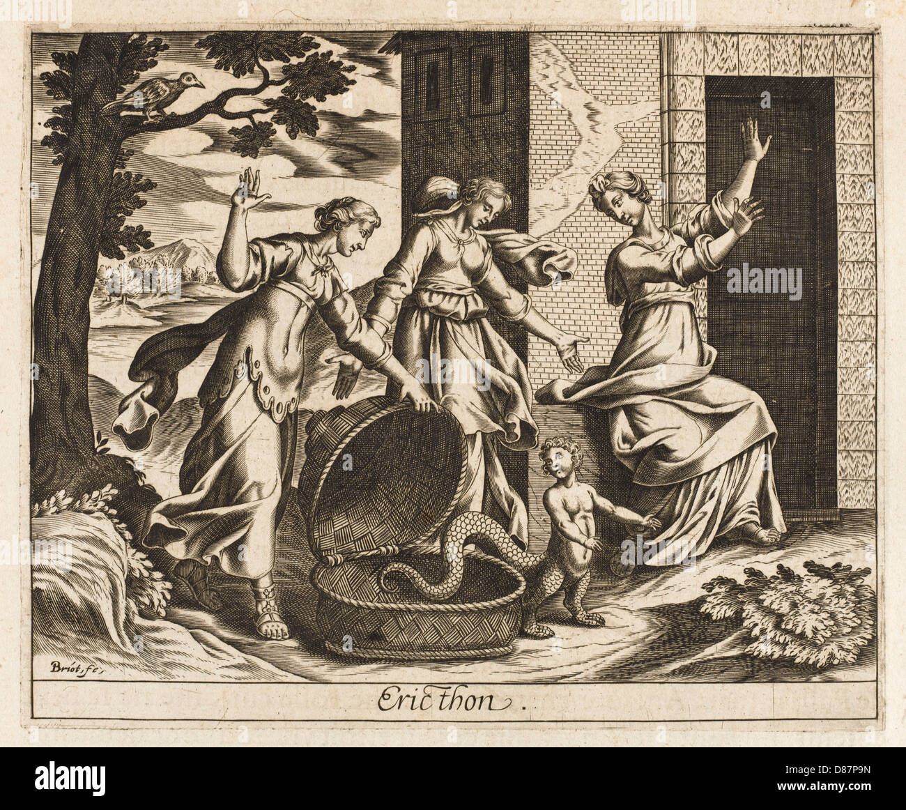 Erichthonius High Resolution Stock Photography and Images Alamy