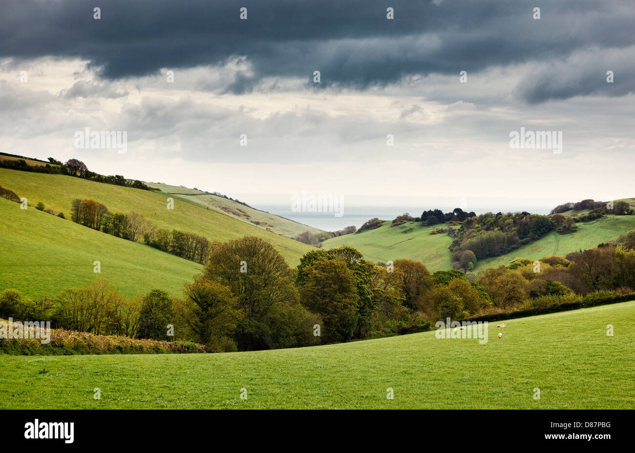 Devon landscape with the sea in the background, England, UK Stock Photo