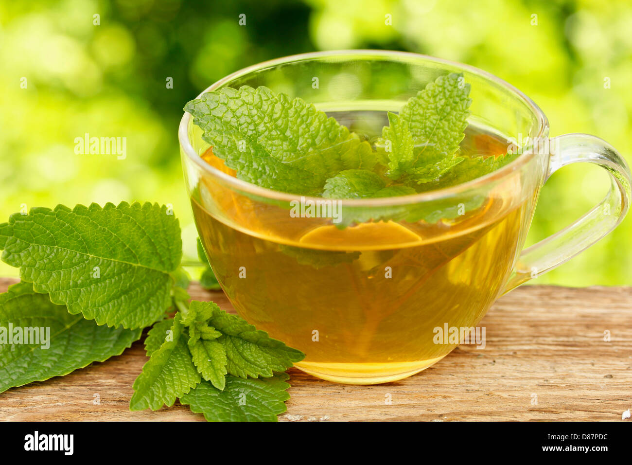 Lemon balm tea. Melissa officinalis Stock Photo - Alamy