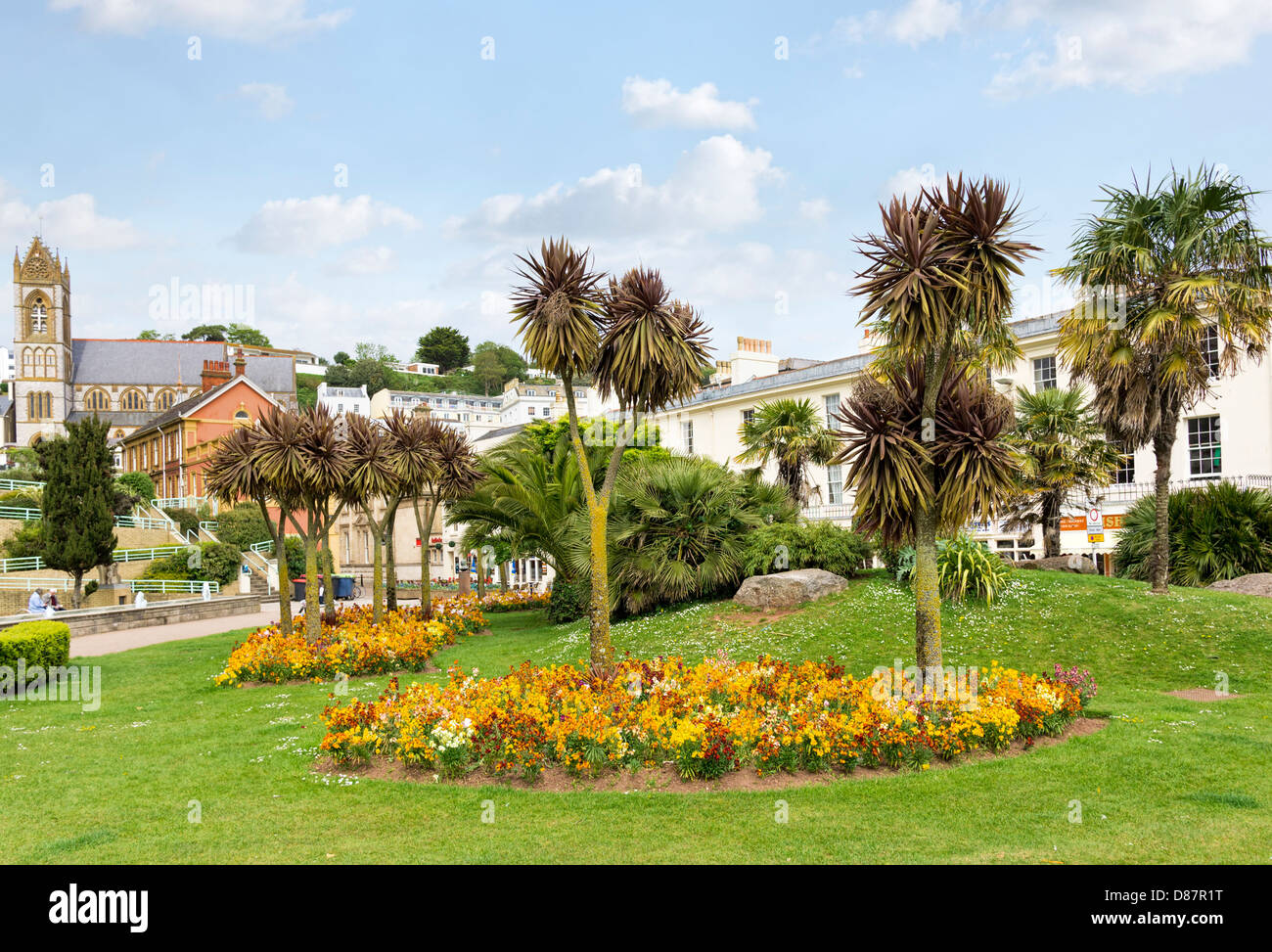 Palm trees in a garden in the town centre, Torquay, Devon, UK Stock Photo