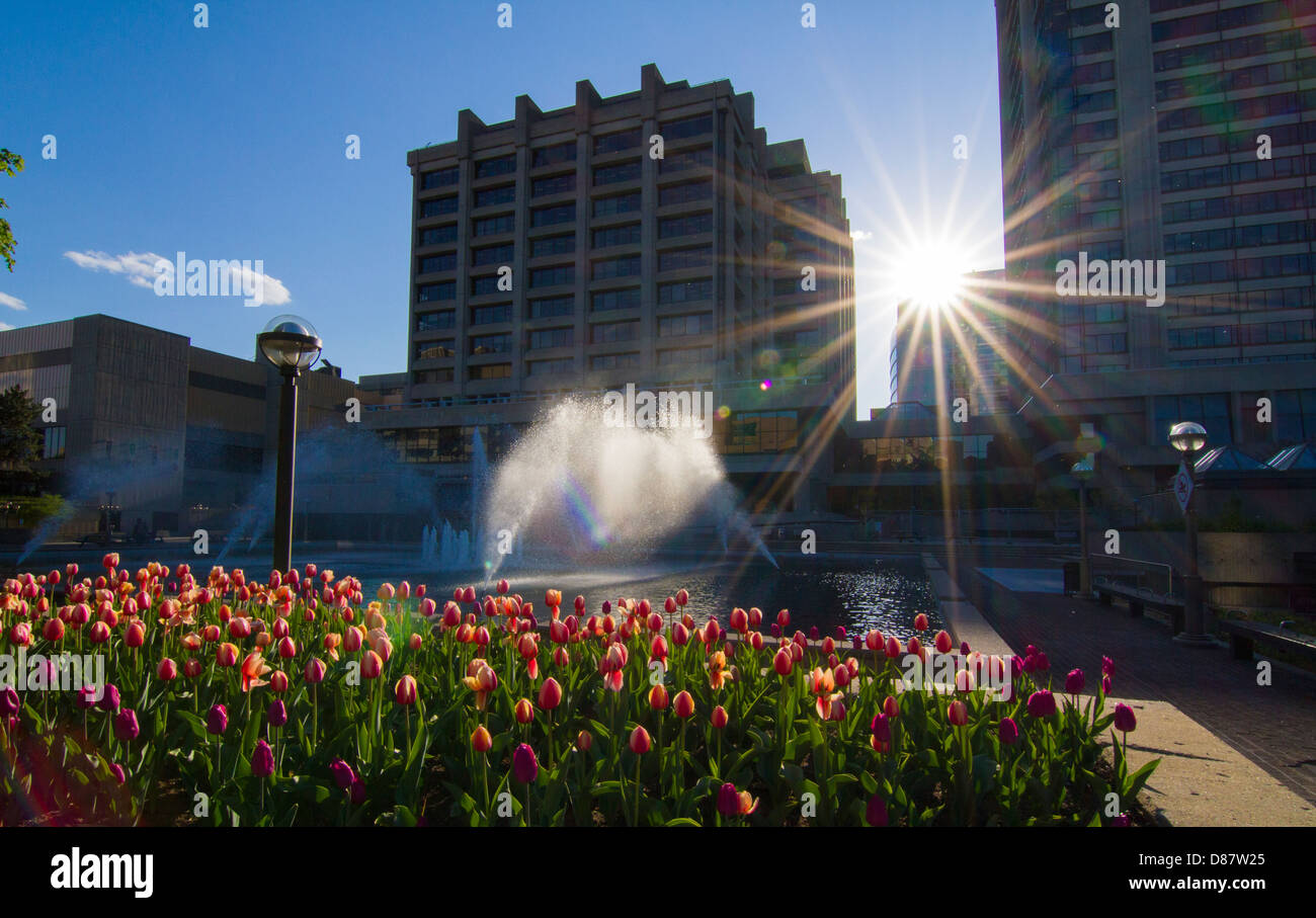Downtown gatineau hires stock photography and images Alamy