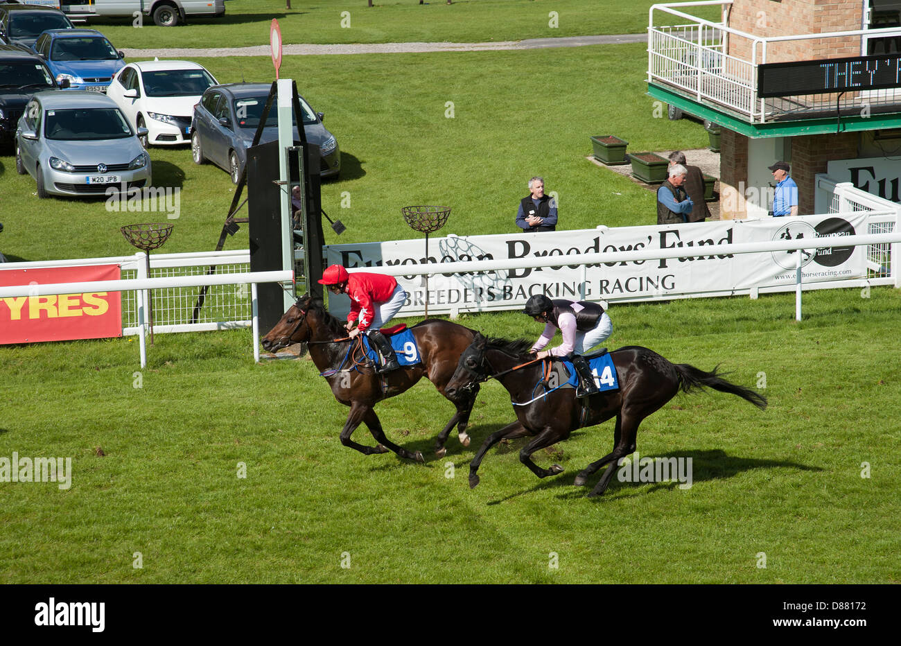 Salisbury Racecourse race horses at the winning post England UK Stock Photo