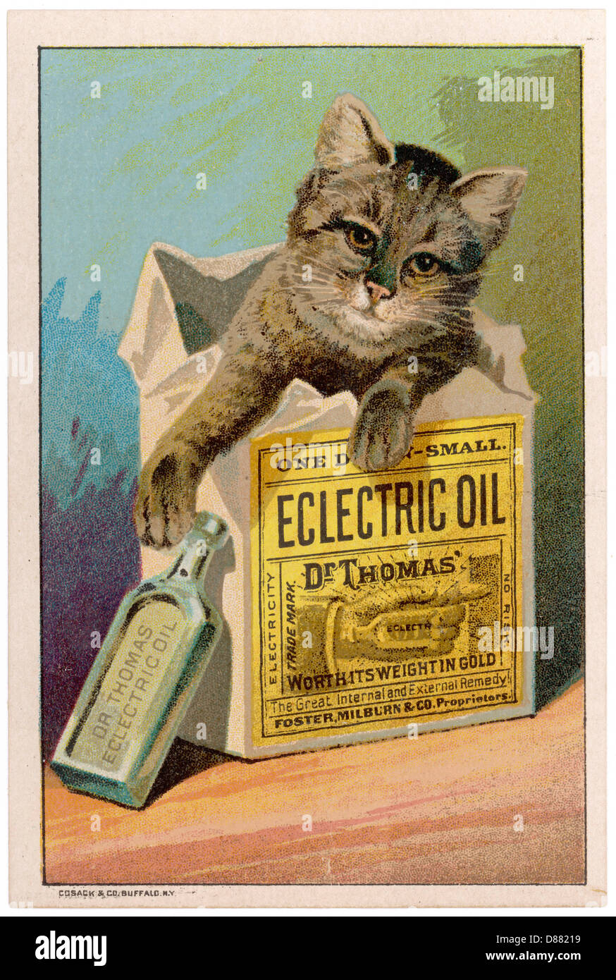 Victorian advertising card Dr. Thomas’ Eclectic Oil c. 1886 Victorian advertising card Dr. Thomas’ Eclectic Oil c. 1886