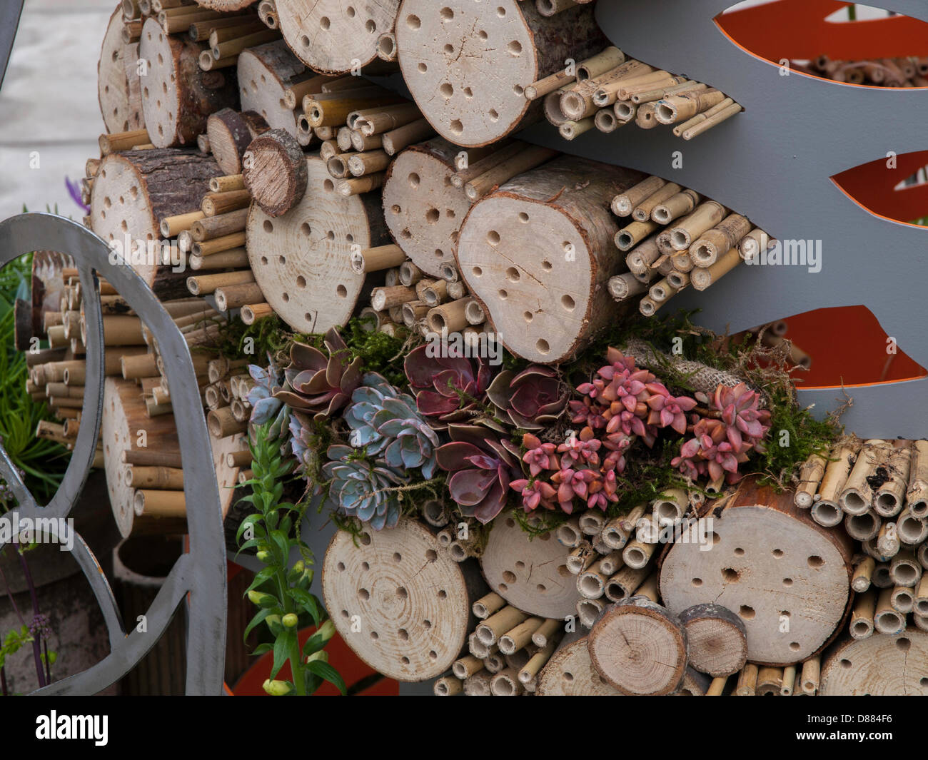 Insect hotel wildflowers hi-res stock photography and images - Alamy