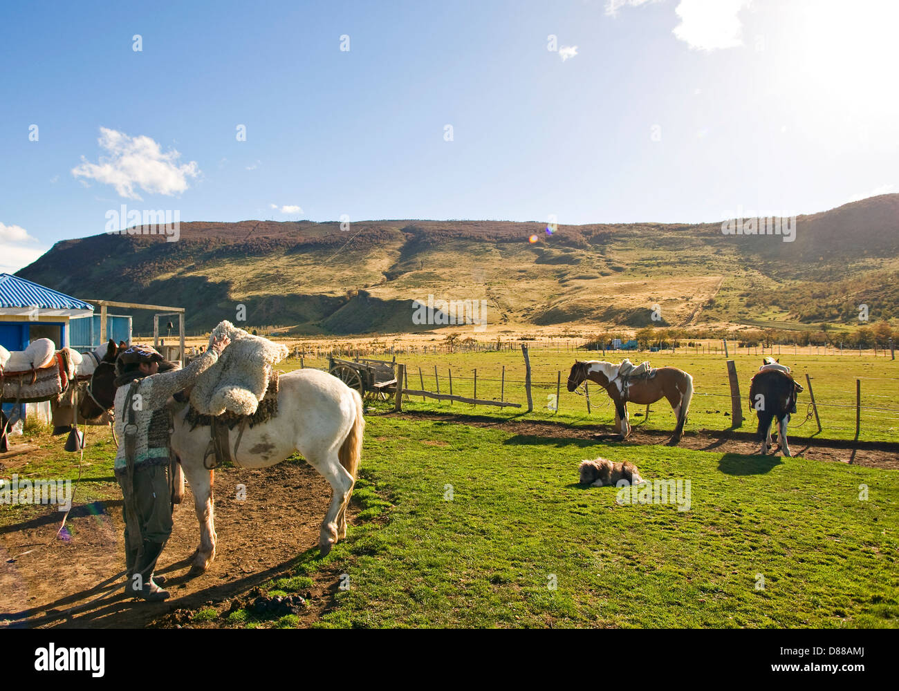 Horseback riding in Chilean Patagonia Stock Photo