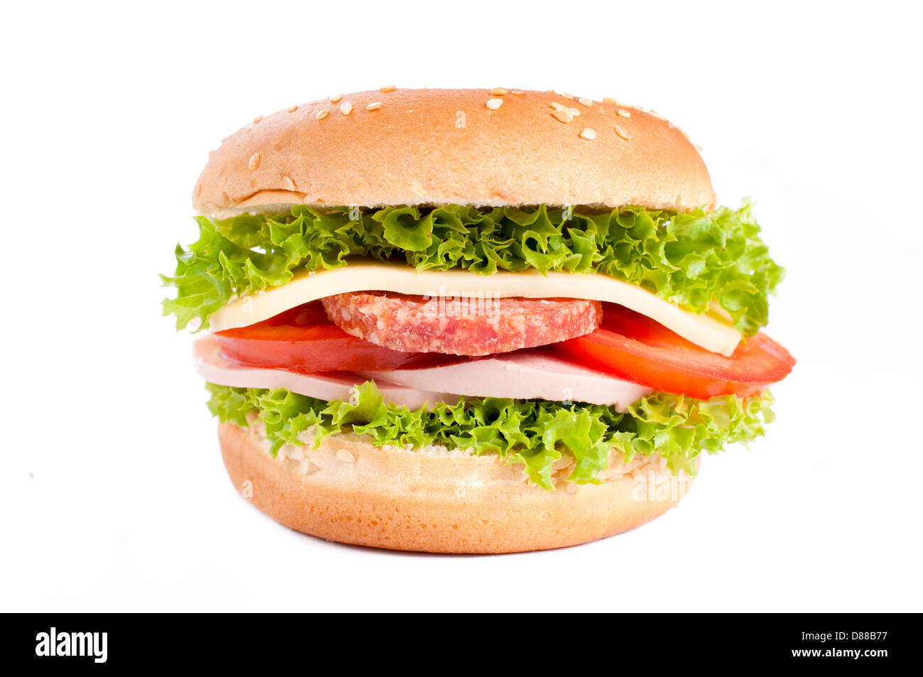 Bun sandwich with salami and cheese isolated on white Stock Photo Alamy