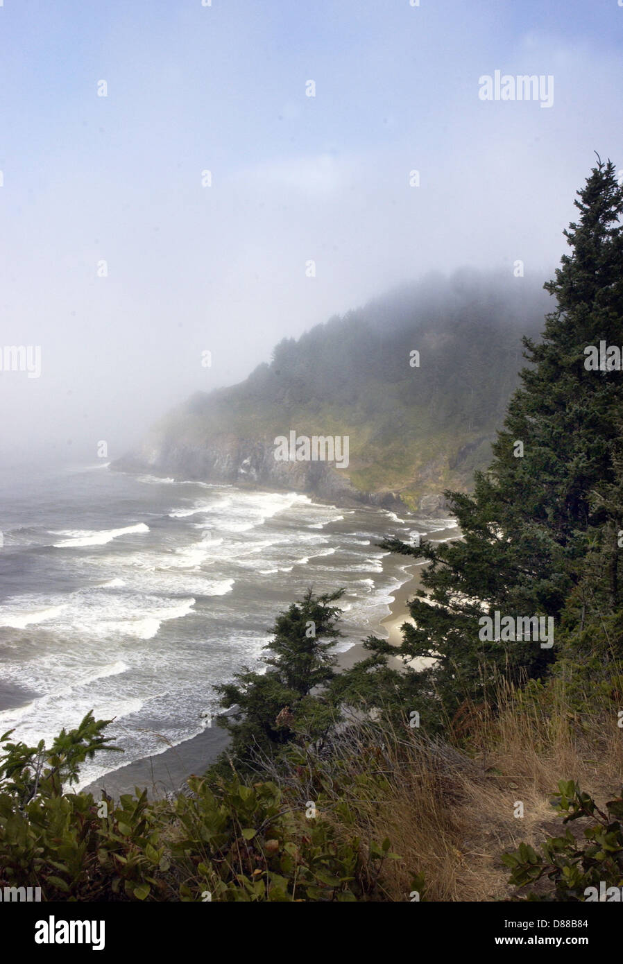 Rugged fir tree mountains with Pacific Ocean surf, beach, Spectacular views of Rugged Oregon coastline,fog, Pacific Northwest, Stock Photo