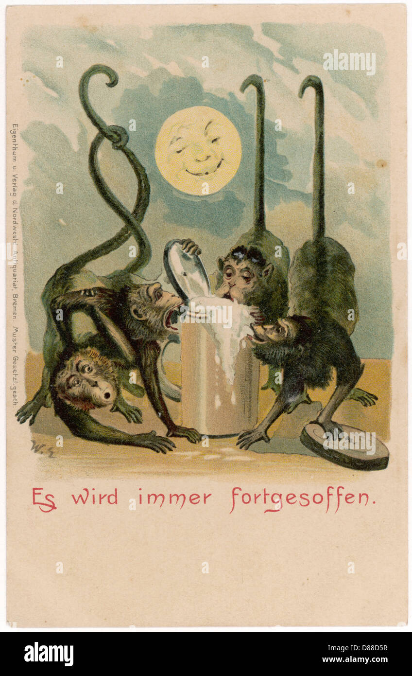 How Many Beers Do Monkeys Really Drink Nyt Investigation - j3l77d9