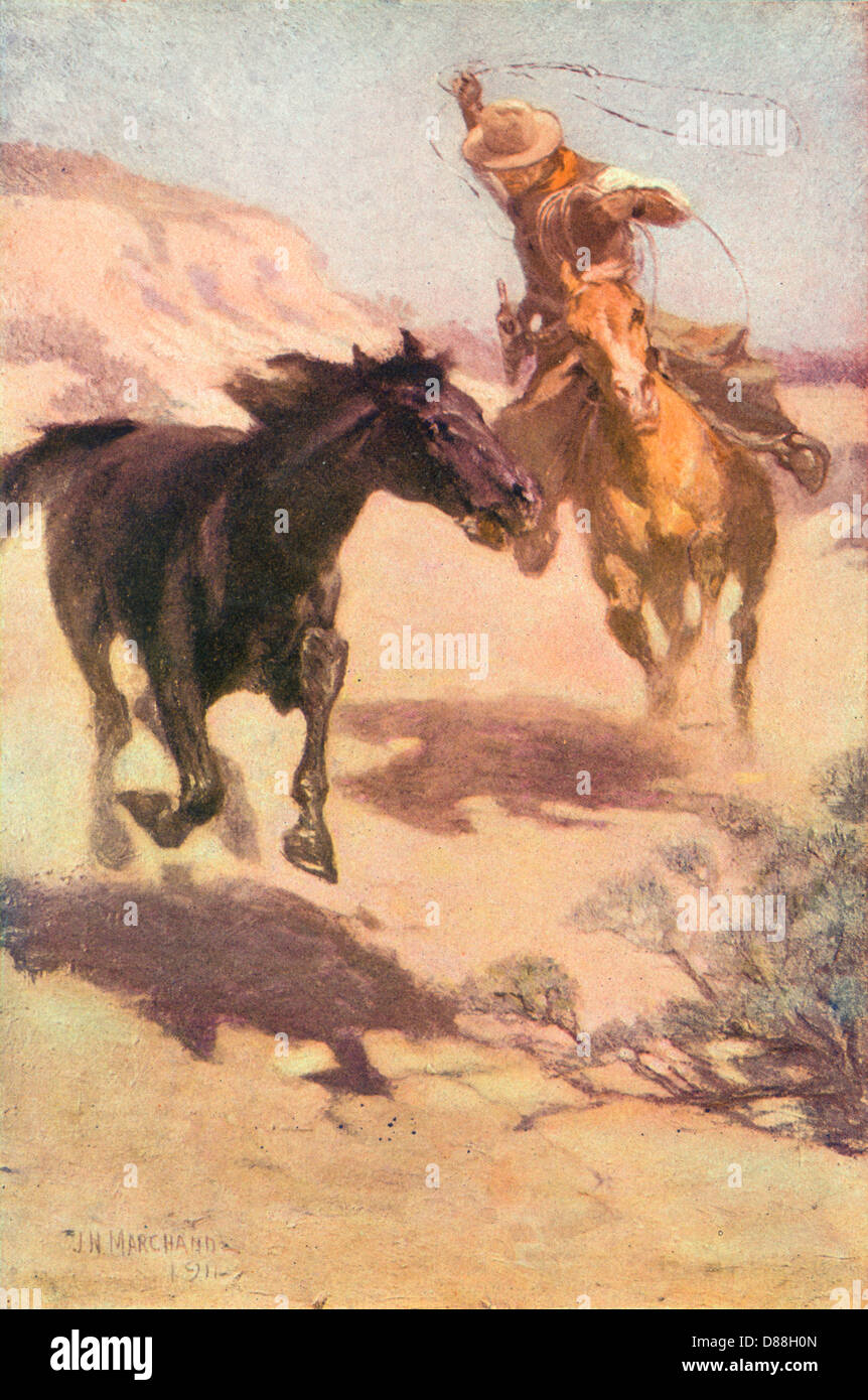 Cowboy roping wild horse hires stock photography and images Alamy