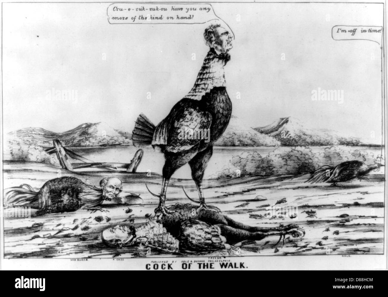 Zachary Taylor Cock of the walk Stock Photo Alamy