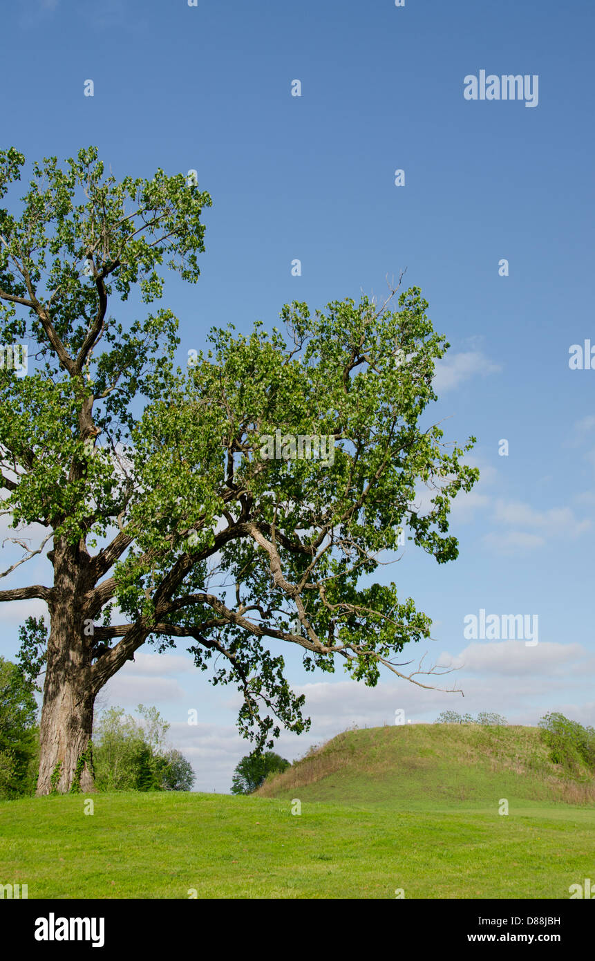 Mississippi, Greenville. Winterville Mounds, one of the largest Native