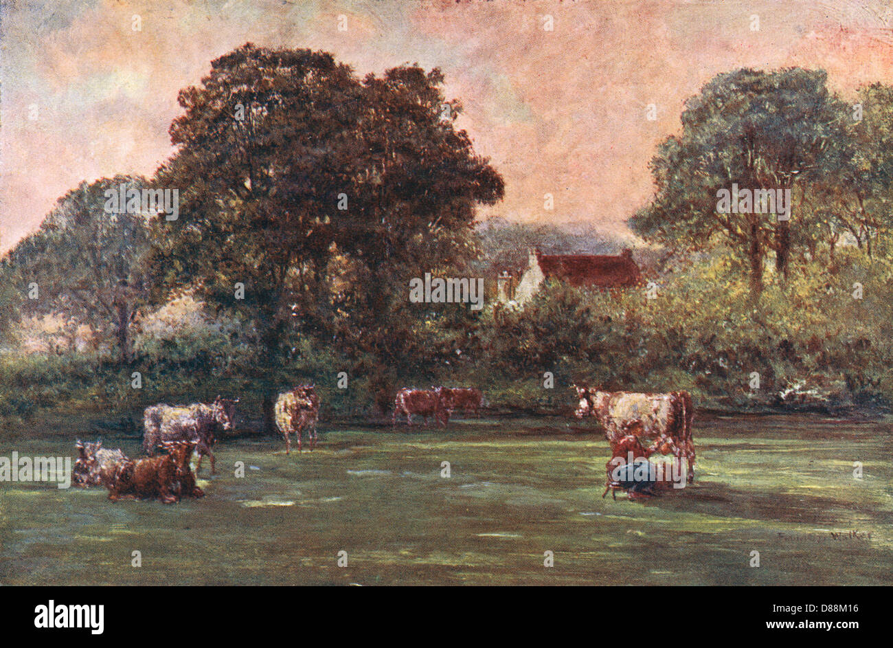 Goldsmith Hyde Lane Stock Photo Alamy