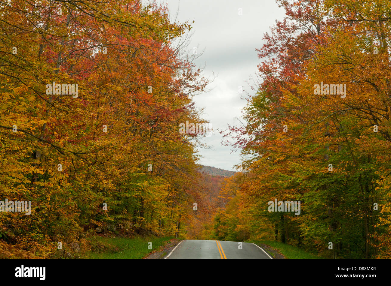 Fall Foliage on Groton Forest Highway, Vermont, USA Stock Photo - Alamy