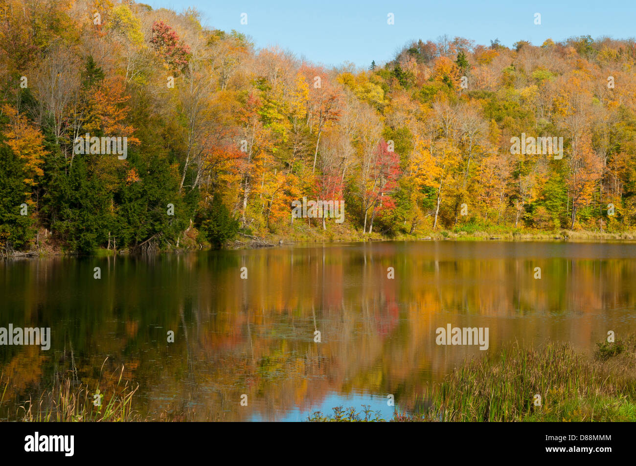 Belvidere pond hires stock photography and images Alamy