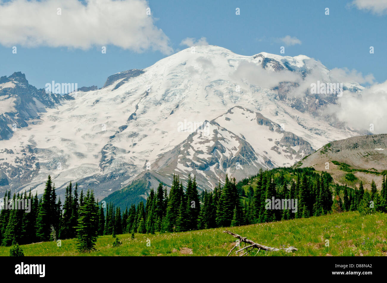 Mt Rainier, Washington, USA Stock Photo